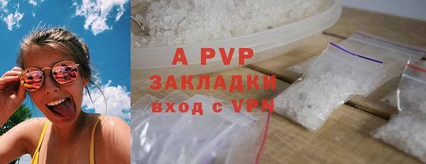 эйфоретик Богданович