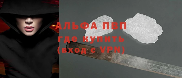 эйфоретик Богданович