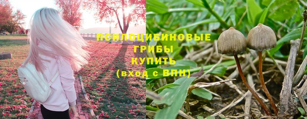 спайс Богородицк