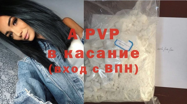 эйфоретик Богданович