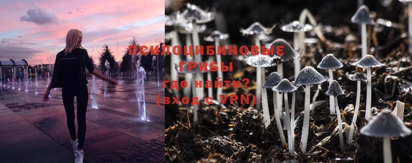 эйфоретик Богданович