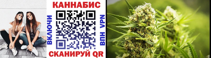 darknet наркотические препараты  Южа  Канабис сатива 